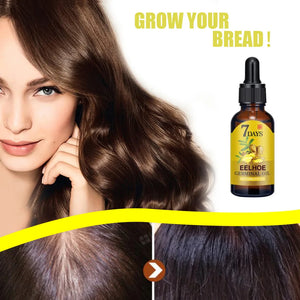 Ginger Anti-Hair Loss Hair Growth Natural Essential Oil